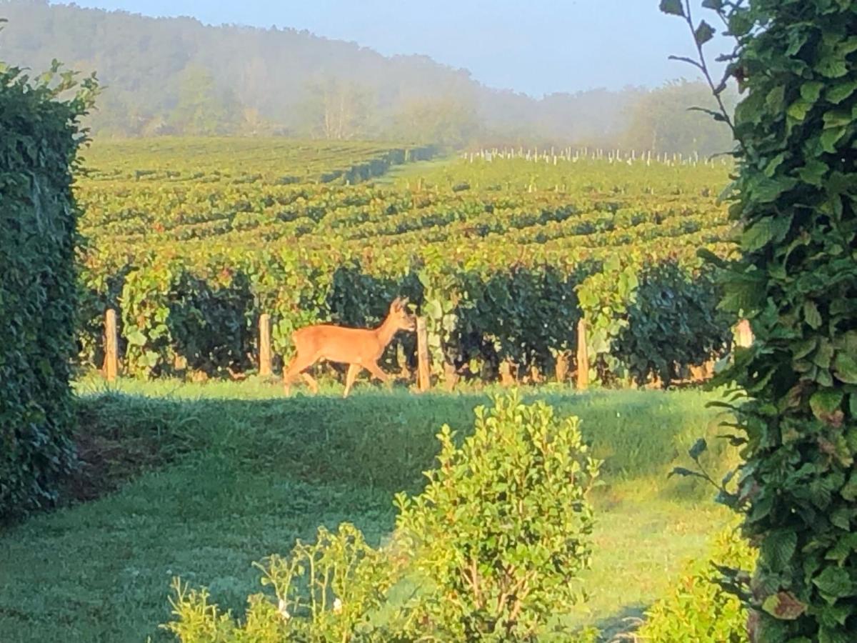ThauvenayAvre De Paix Sancerrois公寓 外观 照片